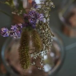 Schlussverkauf ???? Beste Bewertungen von ???? Leonardo Vase CASOLARE 21 Cm Auf Holz ???? ???? 6 Schlussverkauf ???? Beste Bewertungen von ???? Leonardo Vase CASOLARE 21 Cm Auf Holz ???? ???? -BERNDES-Shop 210 CASOLARE Vase auf Holz 018690 91 92 mood V02 H