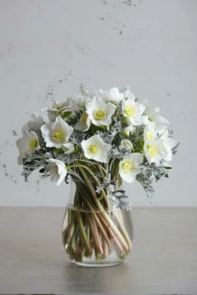 Am billigsten ⌛ Budget ❤️ Leonardo Windlicht GIARDINO 22 Cm 🤩 🎉 - Image 2