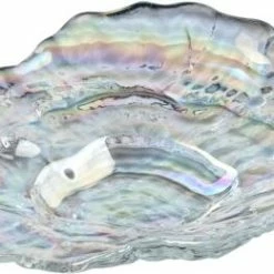 Angebote 🎁 Beste Bewertungen von 🛒 Leonardo Muschelschale POESIA 23x17 ✨ ✔️