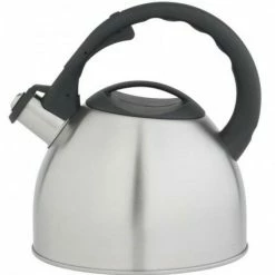 Billig 🔔 Bester Verkauf 👍 Bredemeijer Flötenkessel Edelstahl Matt Gebürstet, 2,5 Liter 🌟 ⭐