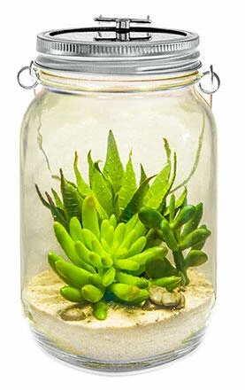 Neu 🌟 Blitzangebot ⌛ Lurch Solarglas Catch The Sun 👍 😉 - Image 3